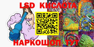 прущие грибы Краснознаменск