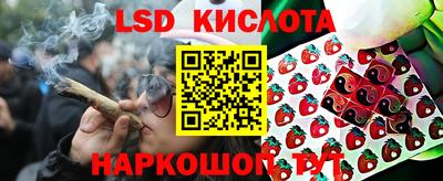 прущие грибы Краснознаменск