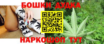 сатива Кулебаки