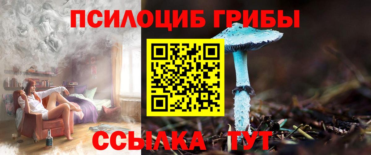 Зеленокумск  Псилоцибиновые грибы прущие грибы  наркота  Галлюциногенные грибы Magic Shrooms  Вход с VPN 