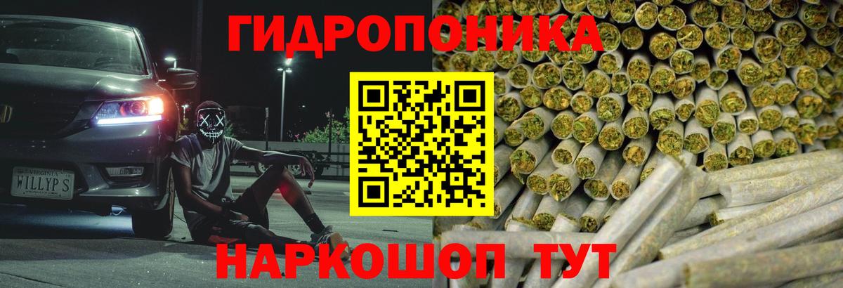 Бошки Шишки THC 21% Зеленокумск
